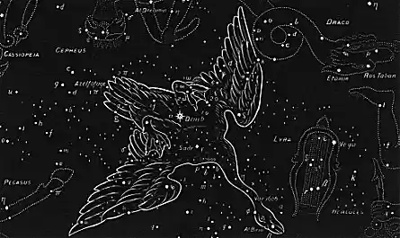 20cygnus